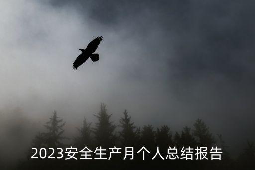 2023安全生產(chǎn)月個人總結(jié)報(bào)告