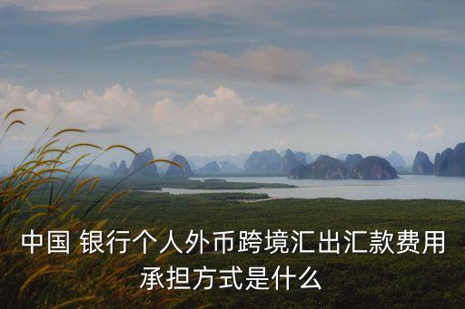 中國 銀行個人外幣跨境匯出匯款費用承擔(dān)方式是什么