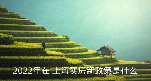 2022年在 上海買房新政策是什么