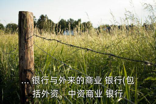 ... 銀行與外來(lái)的商業(yè) 銀行(包括外資、中資商業(yè) 銀行