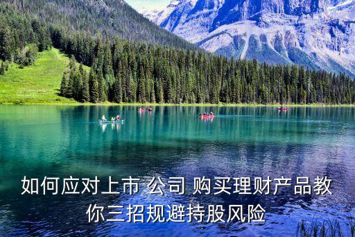 公司閑置資金購(gòu)買(mǎi)股票的限制,居民用閑置的資金購(gòu)買(mǎi)股票