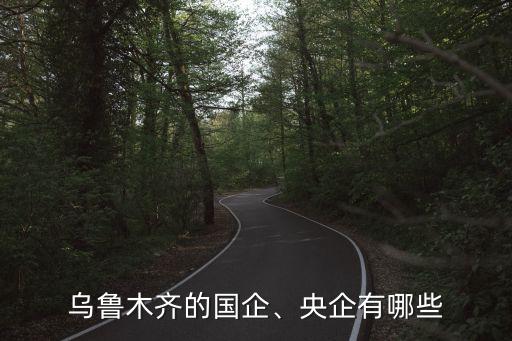 烏魯木齊的國(guó)企、央企有哪些