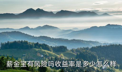 薪金寶有風(fēng)險(xiǎn)嗎收益率是多少怎么樣