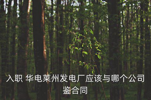 入職 華電萊州發(fā)電廠應(yīng)該與哪個(gè)公司鑒合同