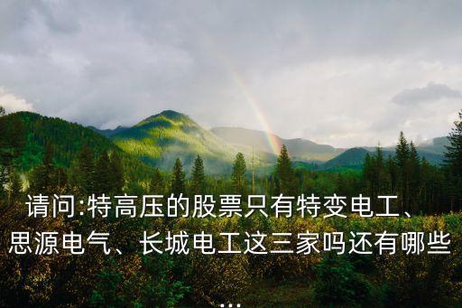 請(qǐng)問(wèn):特高壓的股票只有特變電工、 思源電氣、長(zhǎng)城電工這三家嗎還有哪些...