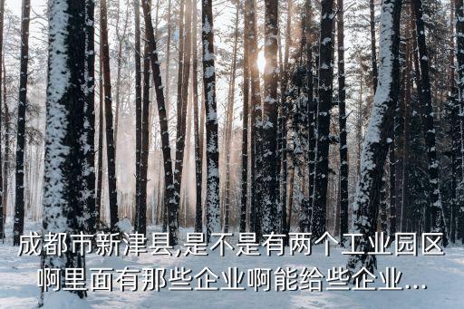 成都市新津縣,是不是有兩個工業(yè)園區(qū)啊里面有那些企業(yè)啊能給些企業(yè)...