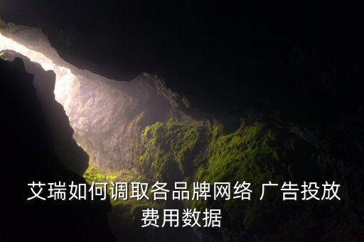  艾瑞如何調(diào)取各品牌網(wǎng)絡(luò) 廣告投放費(fèi)用數(shù)據(jù)