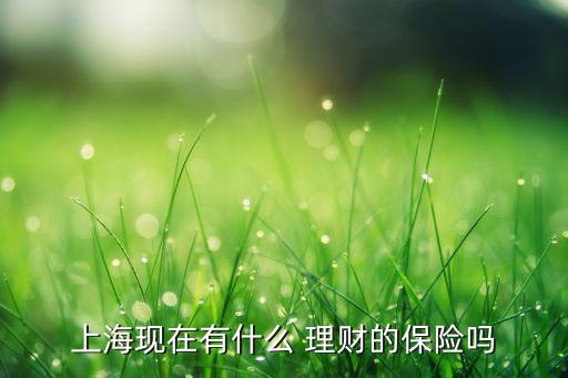 上海現(xiàn)在有什么 理財(cái)?shù)谋ｋU(xiǎn)嗎