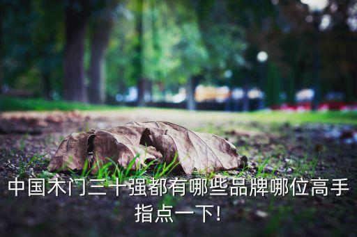 中國(guó)木門三十強(qiáng)都有哪些品牌哪位高手指點(diǎn)一下!