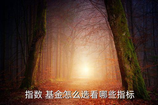  指數(shù) 基金怎么選看哪些指標