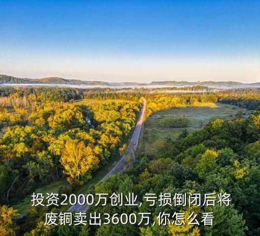  投資2000萬(wàn)創(chuàng)業(yè),虧損倒閉后將廢銅賣出3600萬(wàn),你怎么看