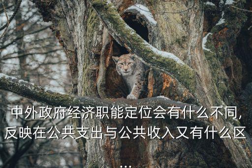 中外政府經(jīng)濟(jì)職能定位會(huì)有什么不同,反映在公共支出與公共收入又有什么區(qū)...