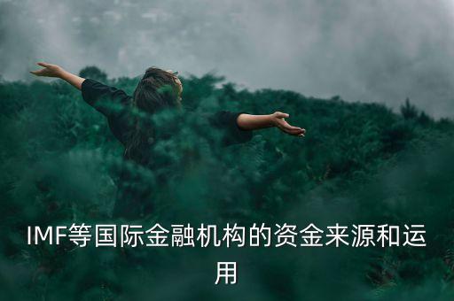IMF等國(guó)際金融機(jī)構(gòu)的資金來(lái)源和運(yùn)用