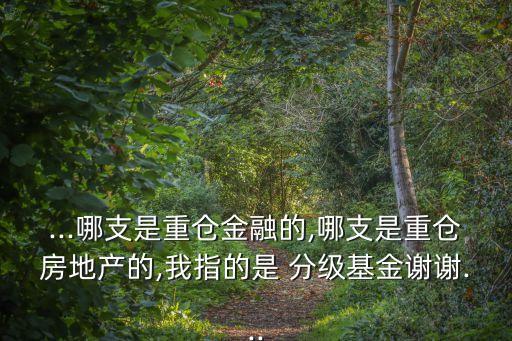 ...哪支是重倉金融的,哪支是重倉房地產的,我指的是 分級基金謝謝...