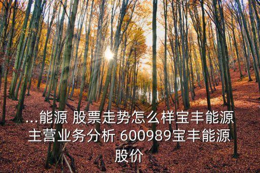 ...能源 股票走勢(shì)怎么樣寶豐能源主營(yíng)業(yè)務(wù)分析 600989寶豐能源股價(jià)