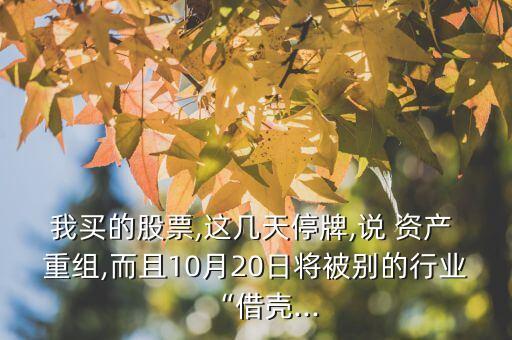 我買的股票,這幾天停牌,說(shuō) 資產(chǎn) 重組,而且10月20日將被別的行業(yè)“借殼...