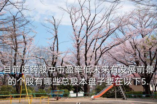目前醫(yī)藥股中市盈率低未來有發(fā)展前景的個(gè)股有哪些總股本盤子要在以下5...