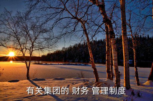 工業(yè)股份有限公司財(cái)務(wù)管理制度