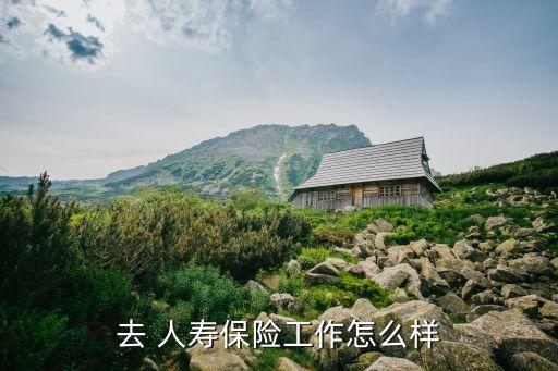 去 人壽保險工作怎么樣
