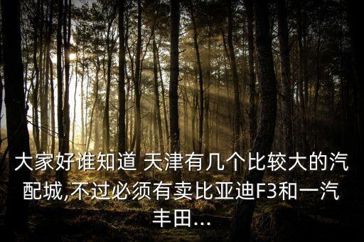大家好誰知道 天津有幾個(gè)比較大的汽配城,不過必須有賣比亞迪F3和一汽豐田...
