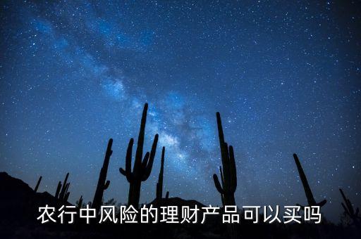 農(nóng)行中風(fēng)險的理財產(chǎn)品可以買嗎