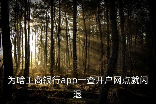 為啥工商銀行app一查開戶網(wǎng)點(diǎn)就閃退