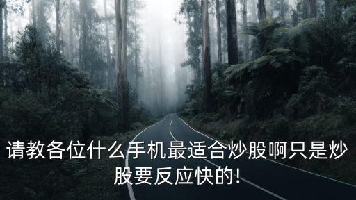 請教各位什么手機(jī)最適合炒股啊只是炒股要反應(yīng)快的!