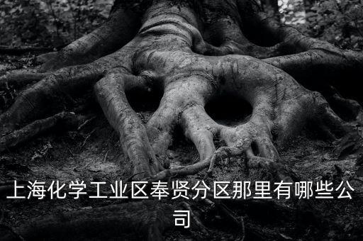 上?；瘜W(xué)工業(yè)區(qū)奉賢分區(qū)那里有哪些公司