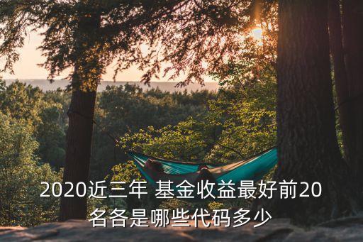 2020近三年 基金收益最好前20名各是哪些代碼多少