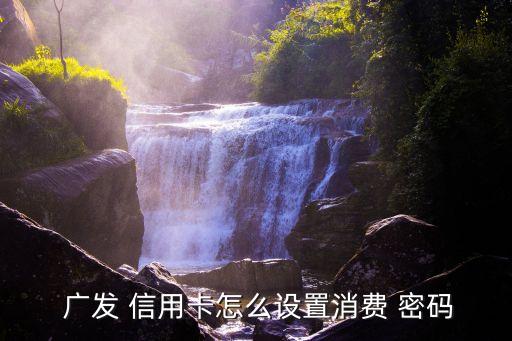  廣發(fā) 信用卡怎么設(shè)置消費(fèi) 密碼