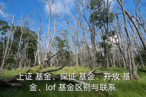  上證 基金、深證 基金、開放 基金、lof 基金區(qū)別與聯(lián)系