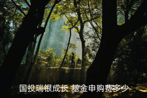  國(guó)投瑞銀成長(zhǎng) 基金申購(gòu)費(fèi)多少
