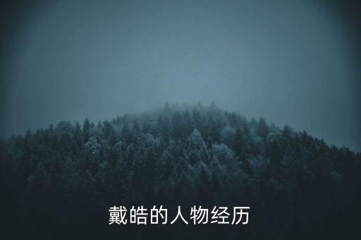 中發(fā)集團房地產(chǎn),中發(fā)實業(yè)集團