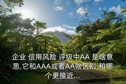 企業(yè) 信用風(fēng)險(xiǎn) 評級中AA 是啥意思,它和AAA或者AA啥區(qū)別,和哪個(gè)更接近...
