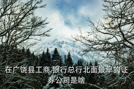在廣饒縣工商 銀行總行北面最早的證券公司是啥