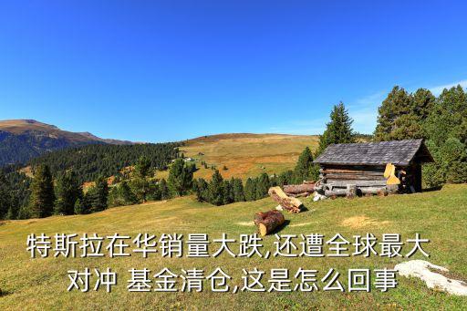 虹口區(qū)對沖基金產業(yè)