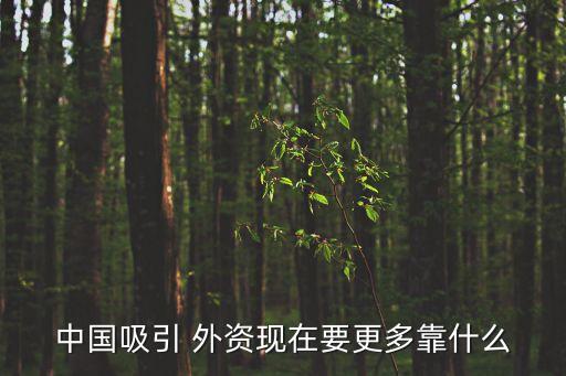 中國吸引 外資現(xiàn)在要更多靠什么