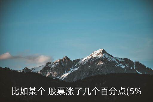 比如某個(gè) 股票漲了幾個(gè)百分點(diǎn)(5%