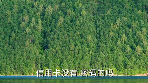 信用卡沒(méi)有 密碼的嗎