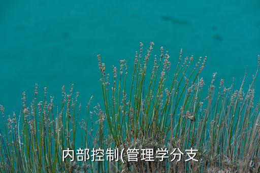 2013上市公司內(nèi)控報告,上市公司內(nèi)控評價報告是強制披露的嗎