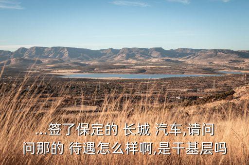 ...簽了保定的 長(zhǎng)城 汽車(chē),請(qǐng)問(wèn)問(wèn)那的 待遇怎么樣啊,是干基層嗎