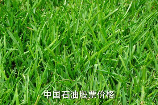 中國一重發(fā)行價是多少