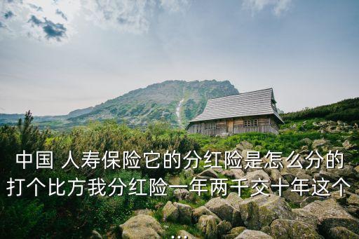 中國 人壽保險它的分紅險是怎么分的打個比方我分紅險一年兩千交十年這個...