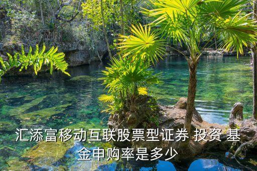 匯添富移動互聯(lián)股票型證券 投資 基金申購率是多少