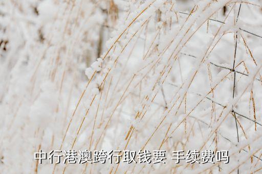 中行港澳跨行取錢(qián)要 手續(xù)費(fèi)嗎