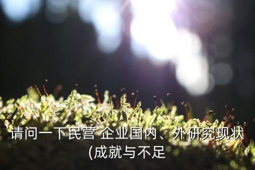 請問一下民營 企業(yè)國內(nèi)、外研究現(xiàn)狀(成就與不足