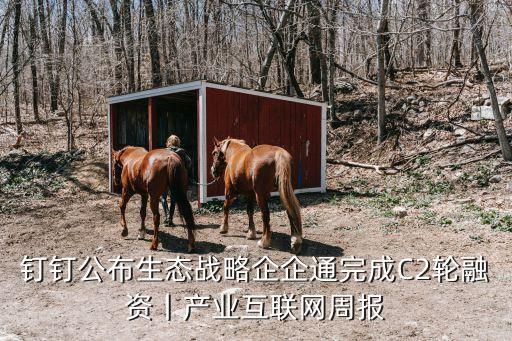 釘釘公布生態(tài)戰(zhàn)略企企通完成C2輪融資丨產(chǎn)業(yè)互聯(lián)網(wǎng)周報(bào)
