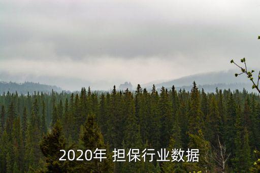 2020年 擔(dān)保行業(yè)數(shù)據(jù)