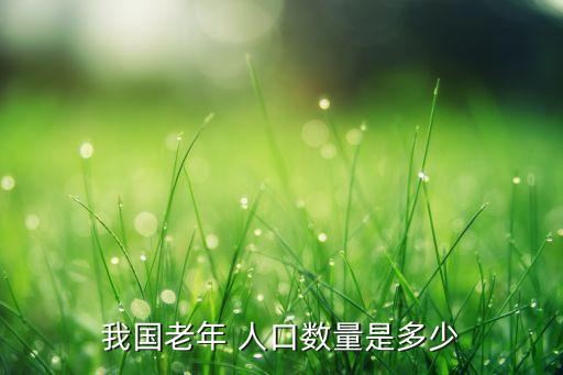 我國老年 人口數量是多少