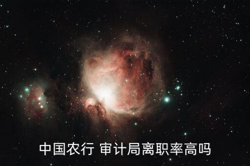 農(nóng)業(yè)銀行審計(jì)